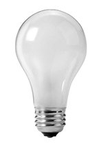 Light Bulb